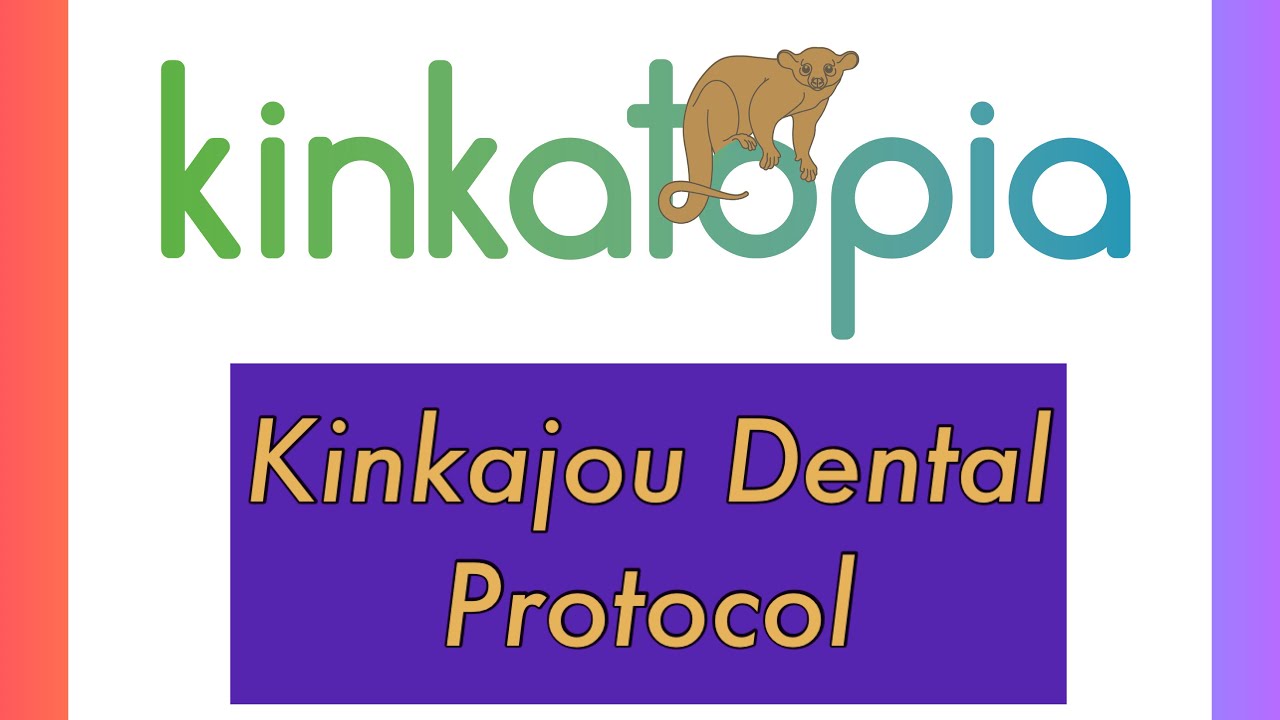 Kinkatopia Kinkajou Dental Protocol