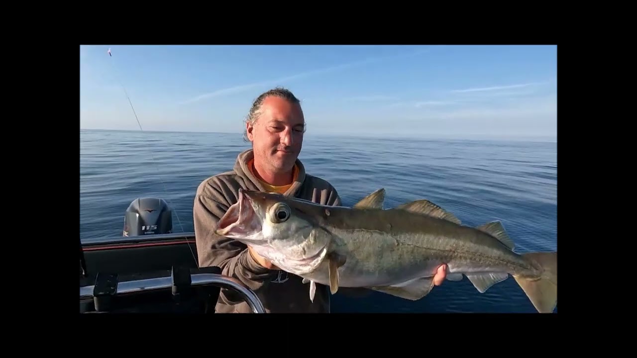 P&ecirc;che du pagre et du lieu au Jig Funa d'Explorer Tackle