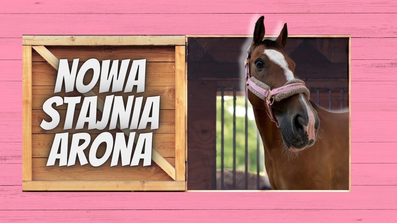 ZMIENIŁAM STAJNIE - PRZEPROWADZKA ARONA