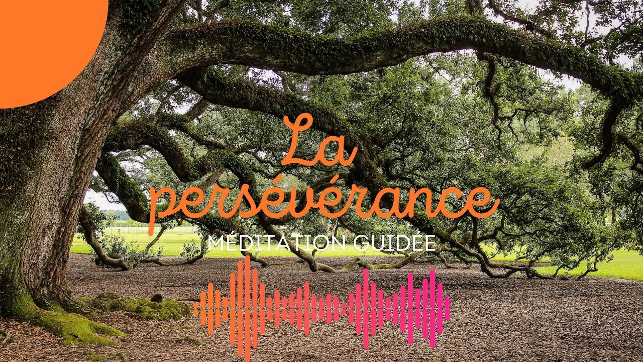 M&eacute;ditation guid&eacute;e 20 min &ndash; Cultiver la pers&eacute;v&eacute;rance int&eacute;rieure | Effort juste & Abhyāsa