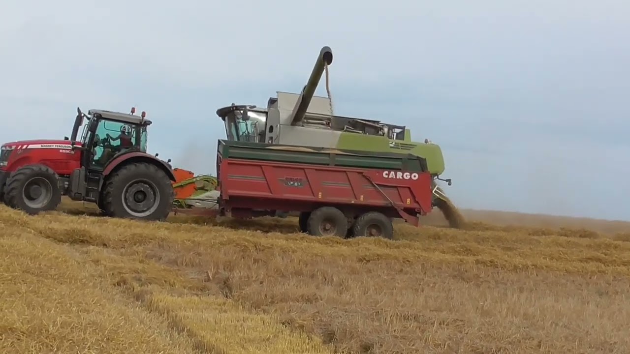 Descărcare în mers/ Claas Lexion 630 Montana/ Massey Ferguson 8690