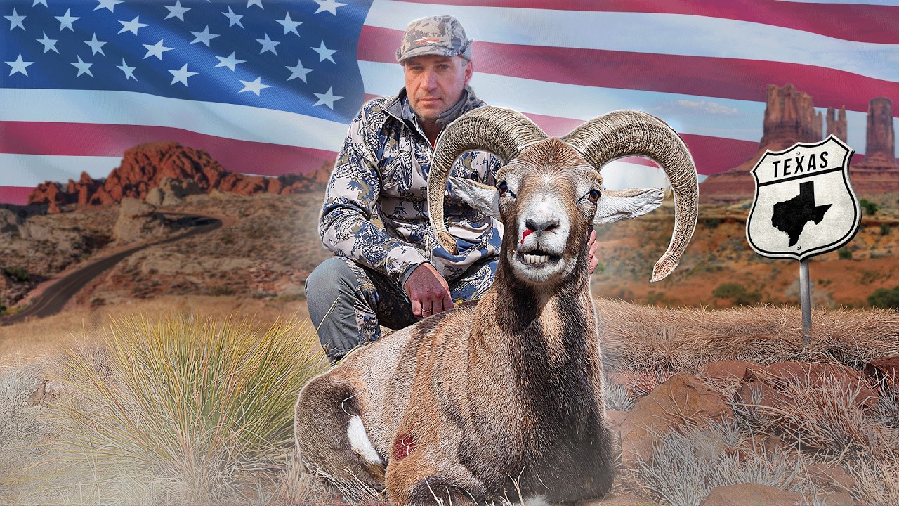 Охота в Техасе: 🇺🇸 по следам Красного барана