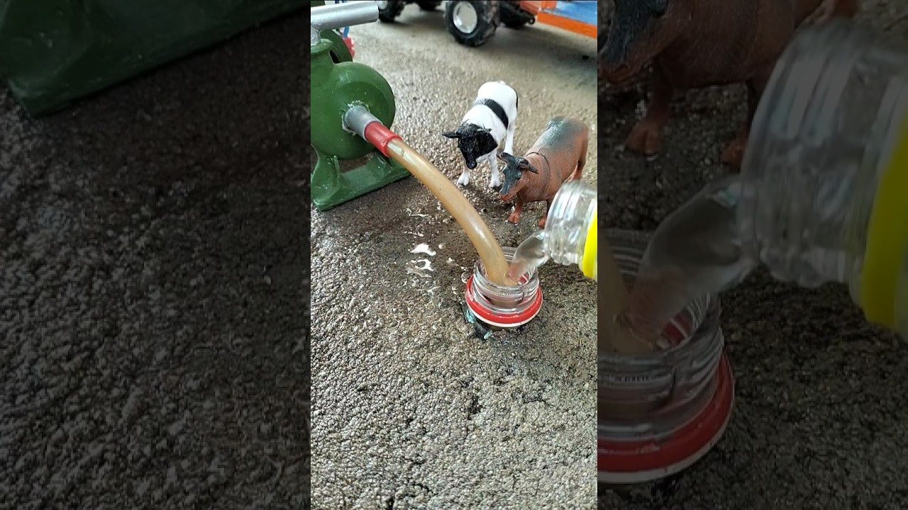 mini farm science project video #shorts #minifarm
