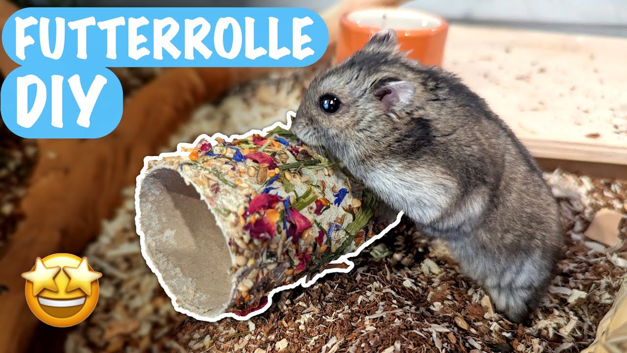 Futter-Rolle für Hamster