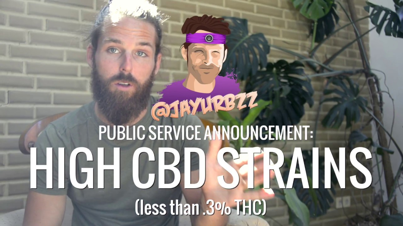 PSA: Try the Low-THC, High CBD Strains