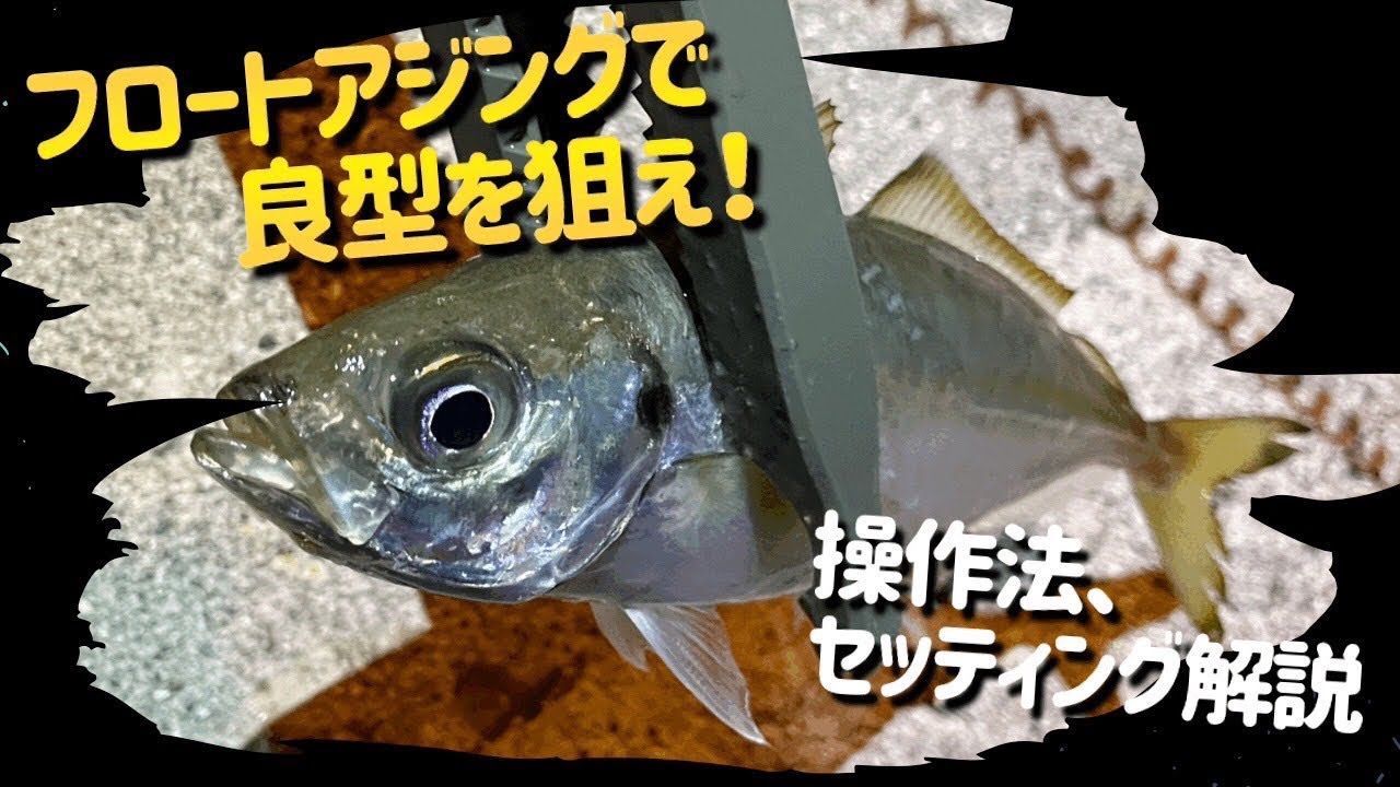 瀬戸内フロートアジング！！基本操作やセッティングをわかりやすく解説！！沖の良型を狙い撃ち！