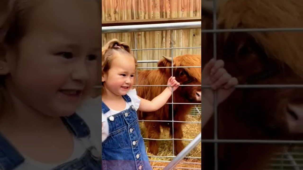 Morsomme &oslash;yeblikk for barn og dyr #morsomt #fordeg #baby #dyr #toddlers #funny #adoreble #viral