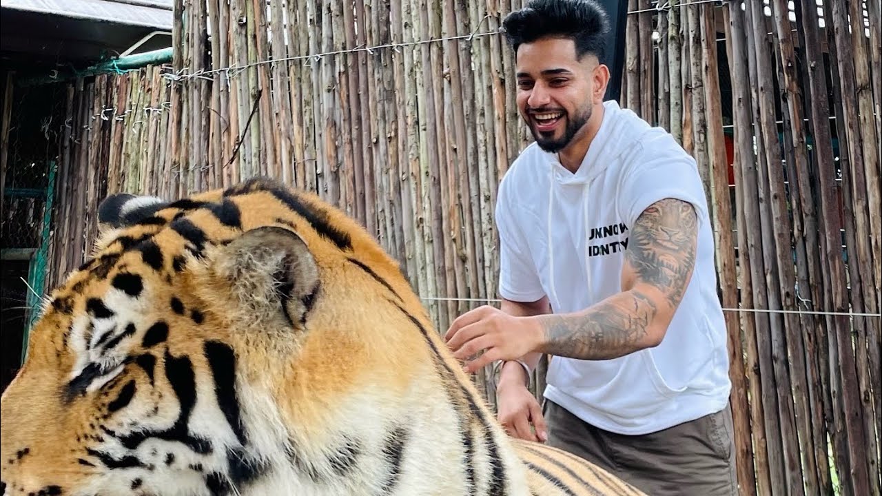 Day 2 in phuket | Tiger kingdom | thailand