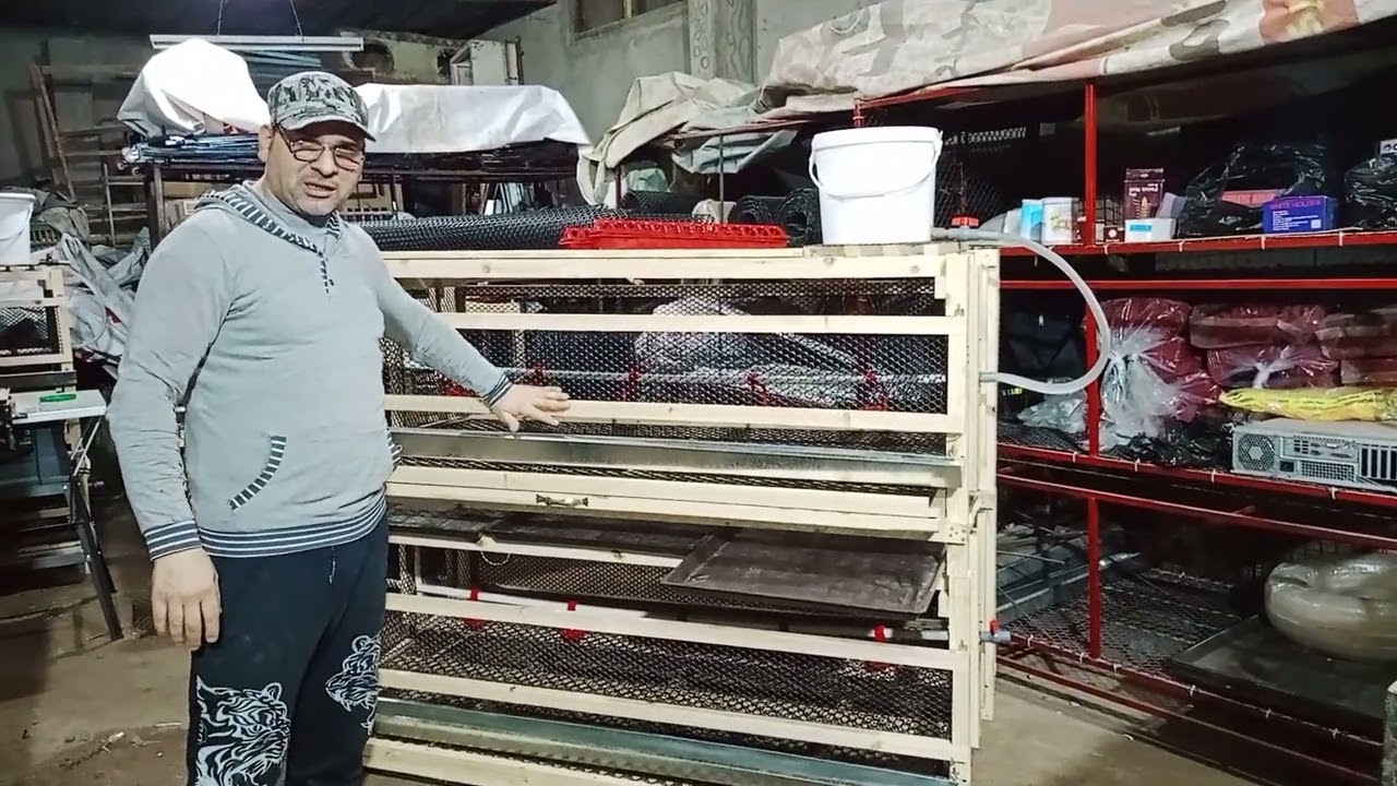 بطارية دواجن ٢×١ بياض وتسمين احدث وافضل بطاريات في مصر