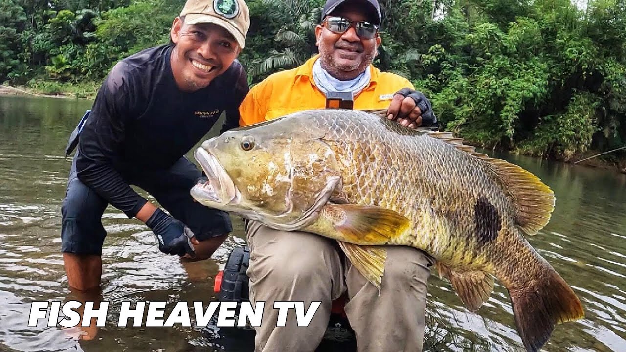 Pecah Rekor Mancing Kakap Tompel Terbesar 16 Kg di Indonesia | Papuan Spot Tail Bass 35 Lbs | 2025