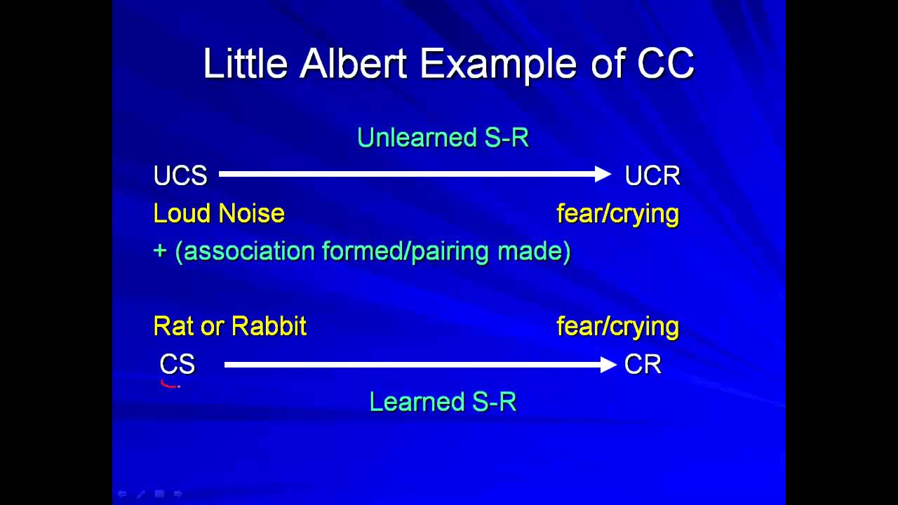 AP Psych Review:  Classical Conditioning: An Overview