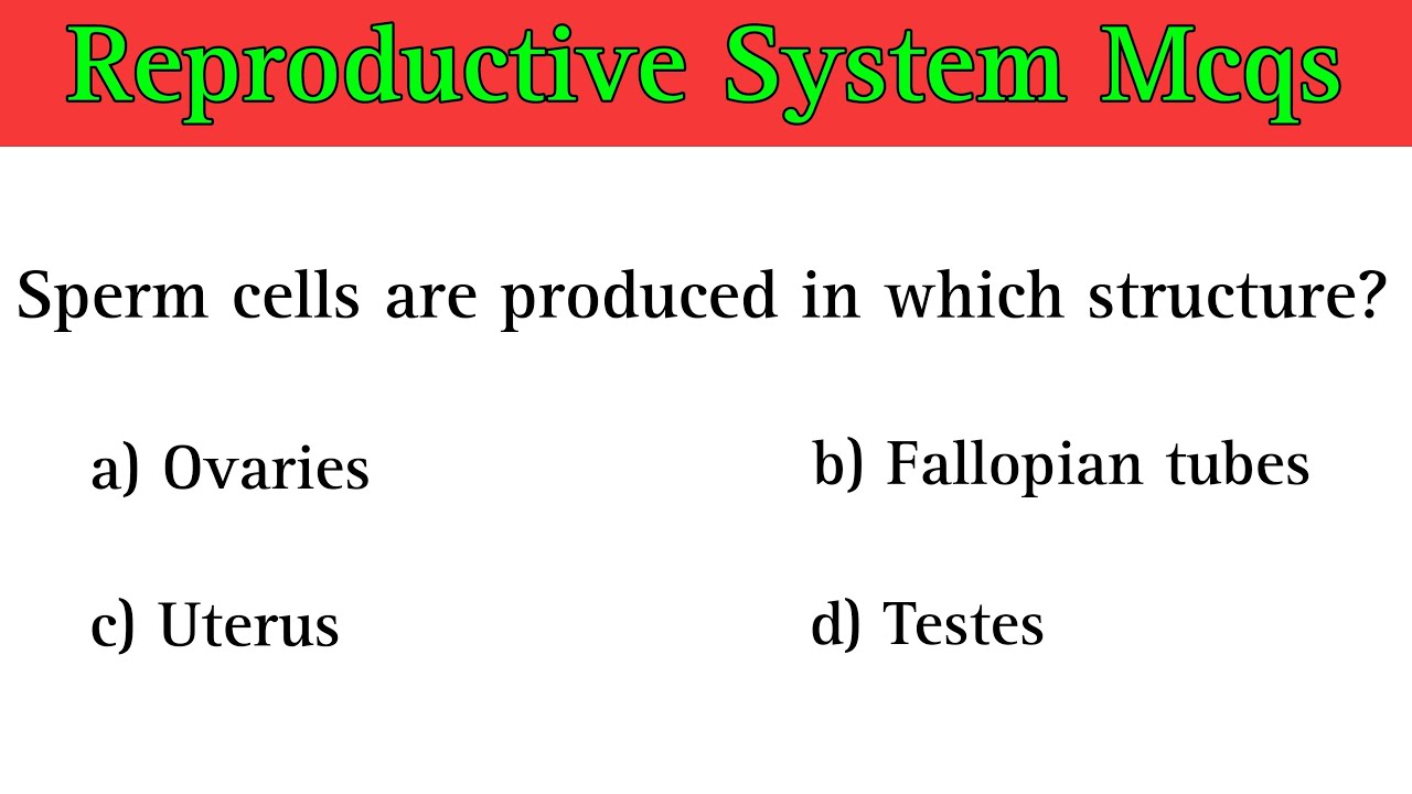 Reproductive System MCQ | reproductive system