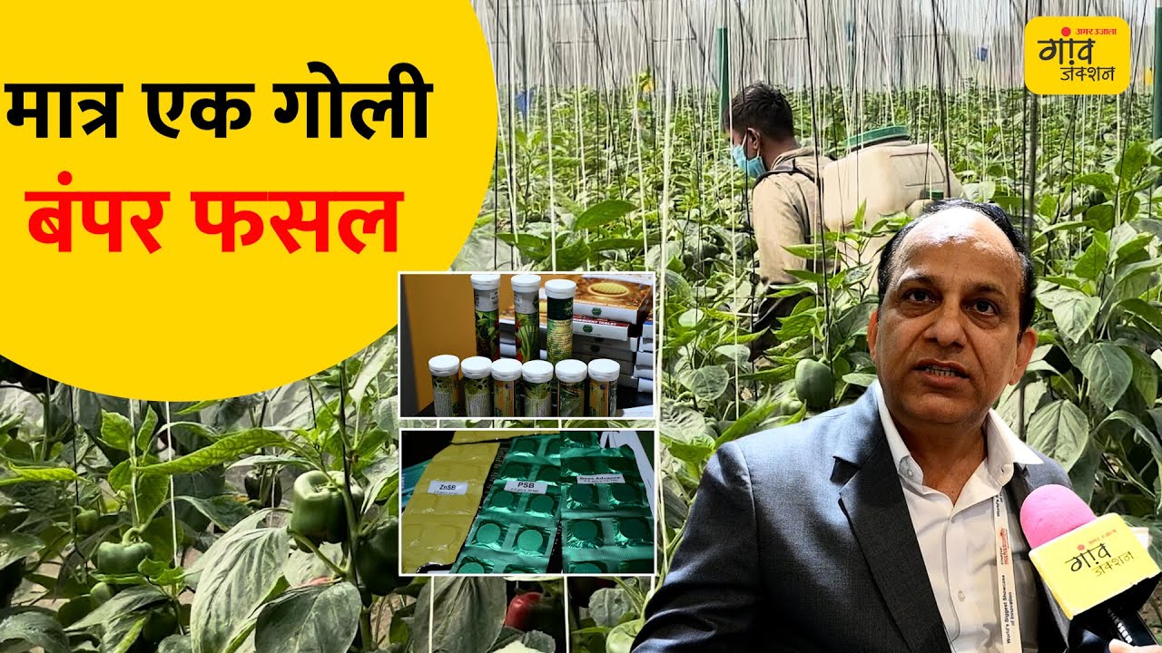 2.5gm की गोली 500gm खाद के बराबर, DAP, NPK और कीटनाशक की पूरी डोज | #Startupmahakumbh2025
