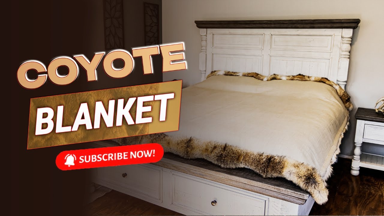 Drop Repair on a Tanned Coyote Pelt