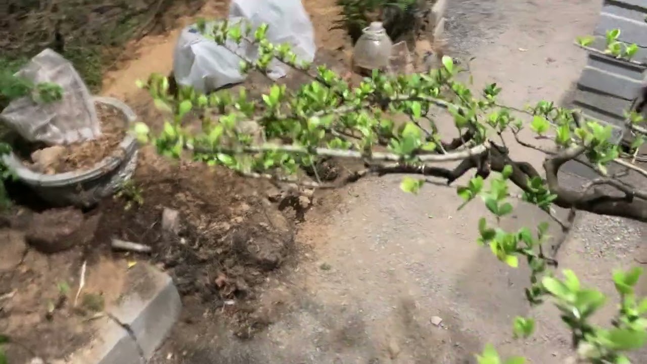 No.28 Hải Châu Đầu Sóng Ngọn Gió, liên lạc 0918767282