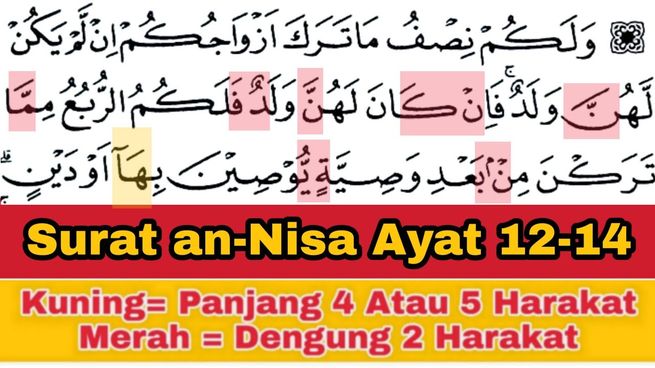 Tadarus Surat an-Nisa Ayat 12-14, Ada Warna Tanda Panjang & Dengung Agar Lancar Baca al-Quran