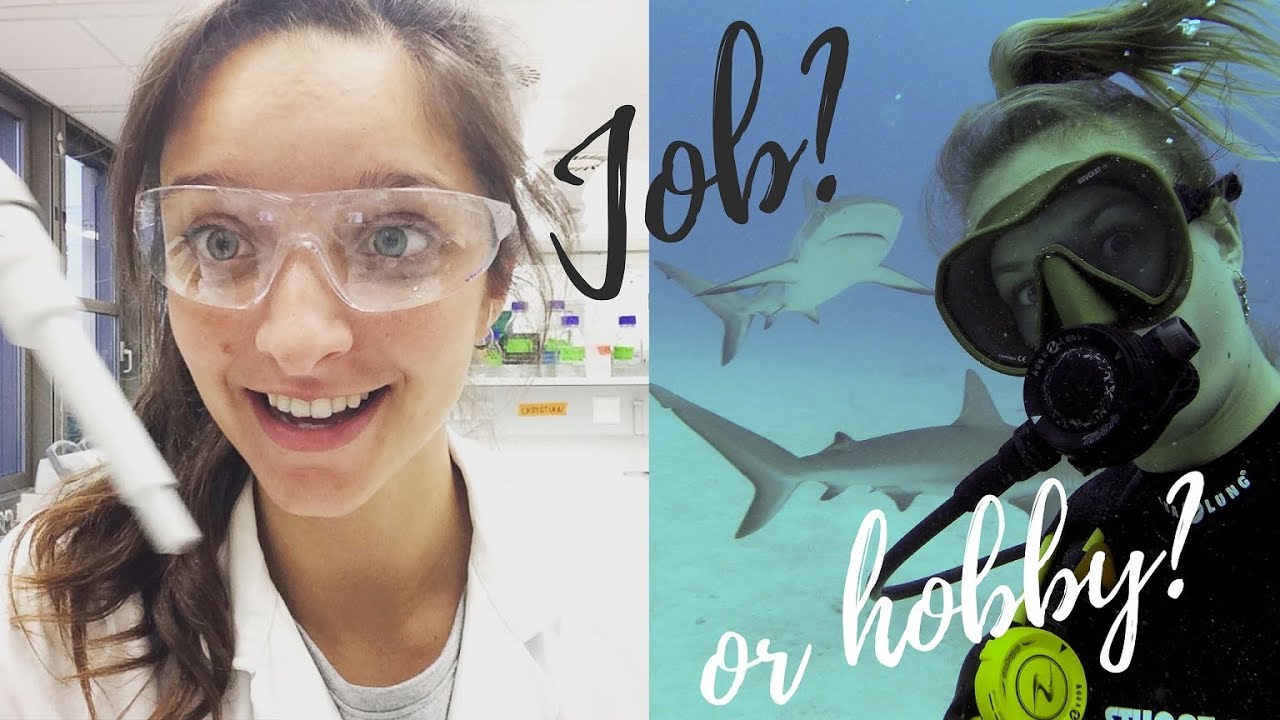 How much does it cost to get qualified? | Scuba Diving Instructor and Marine Biologist