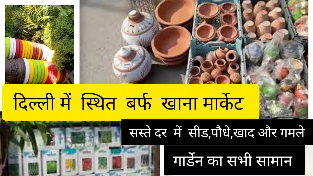 गार्डेनर के लिए दिल्ली की बेहतरीन जगह, जहाँ गार्डेनिंग का हर सामान मिलेगा