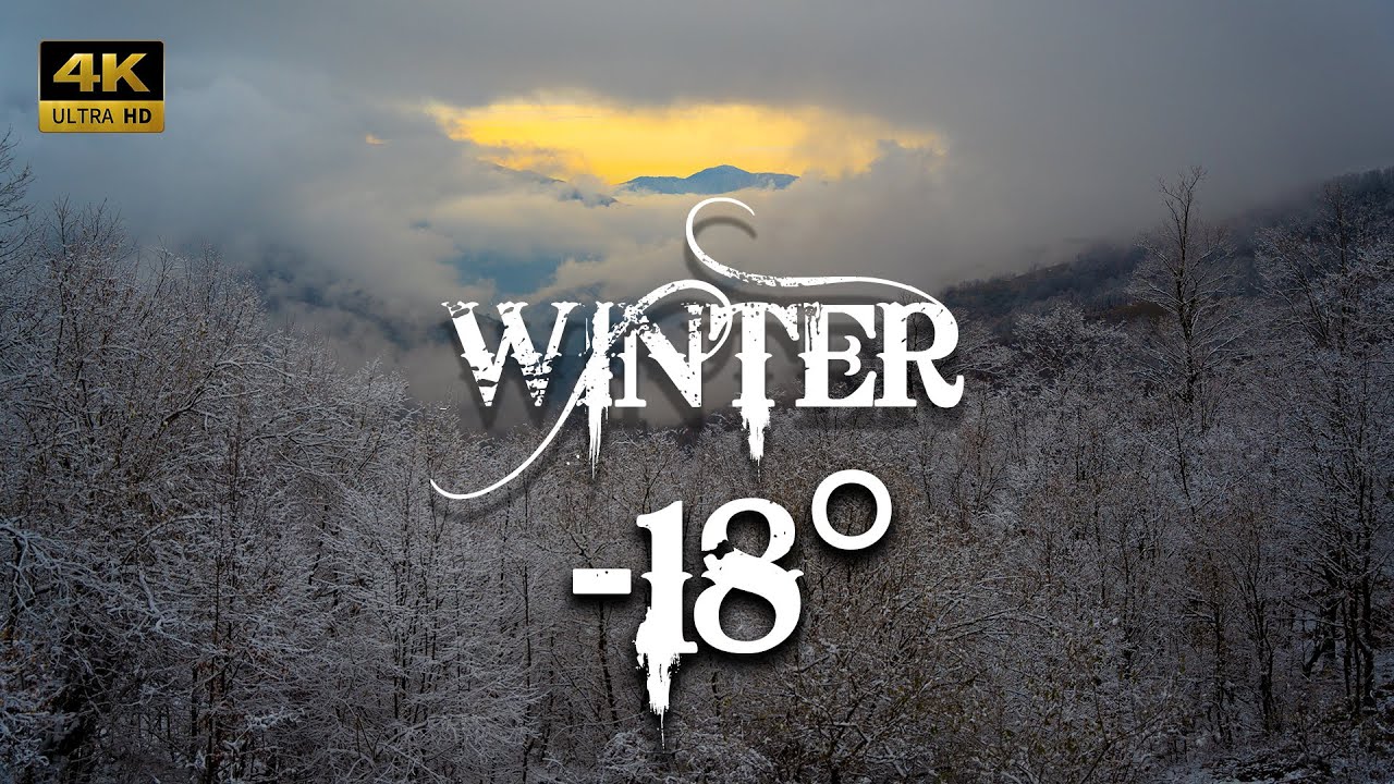 Extremely cold but beautiful winter in the snow forests of Ramiyan | IRAN Nature 4K