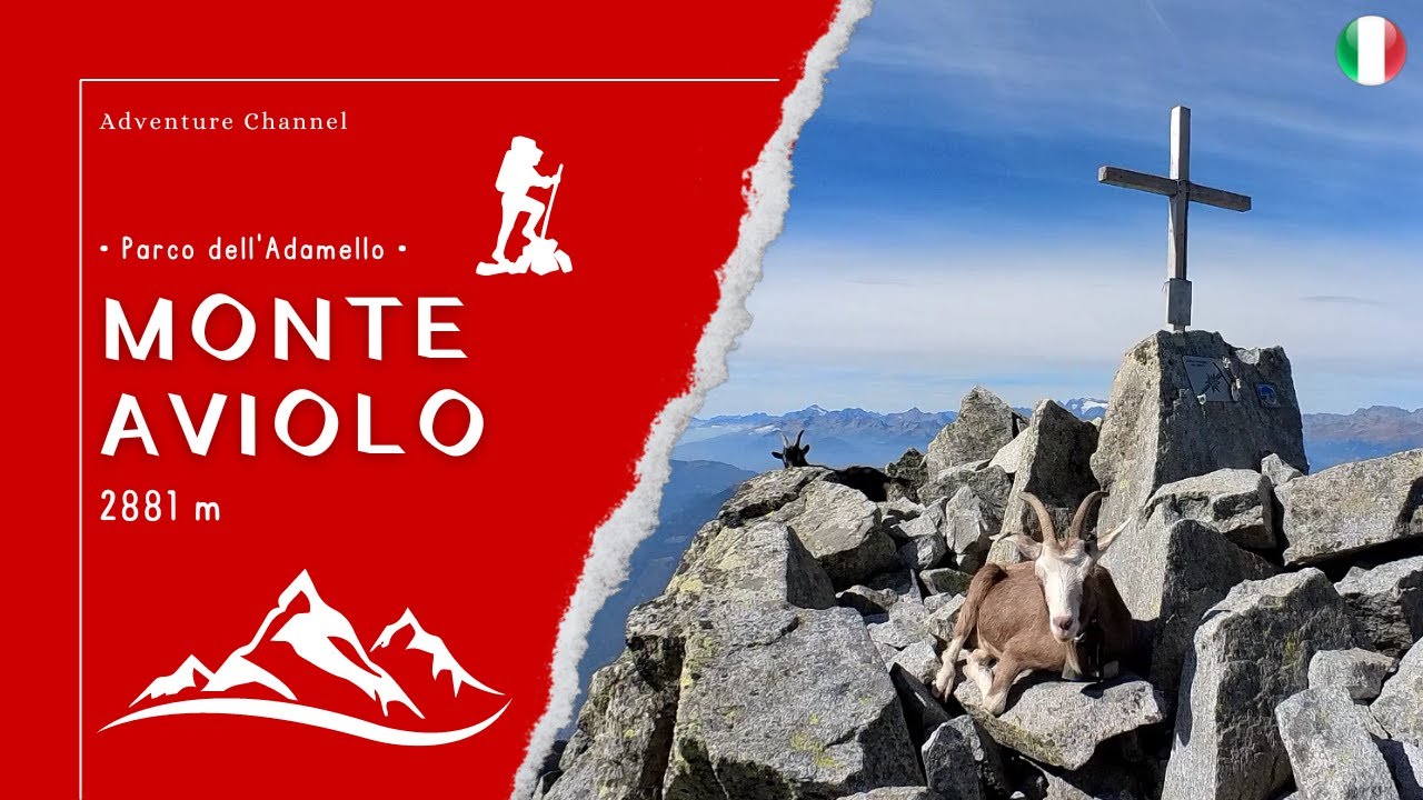 Monte Aviolo (2881 m) • Parco regionale dell'Adamello •
