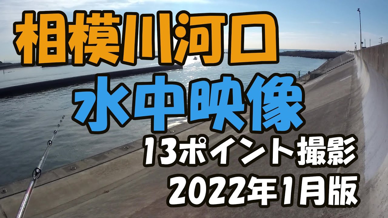 相模川河口水中映像  2022年1月版　釣り方、根掛かり対策に