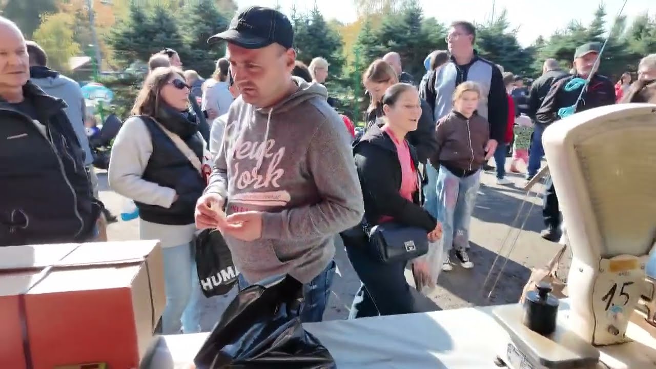 Výlov Hradeckého rybníka