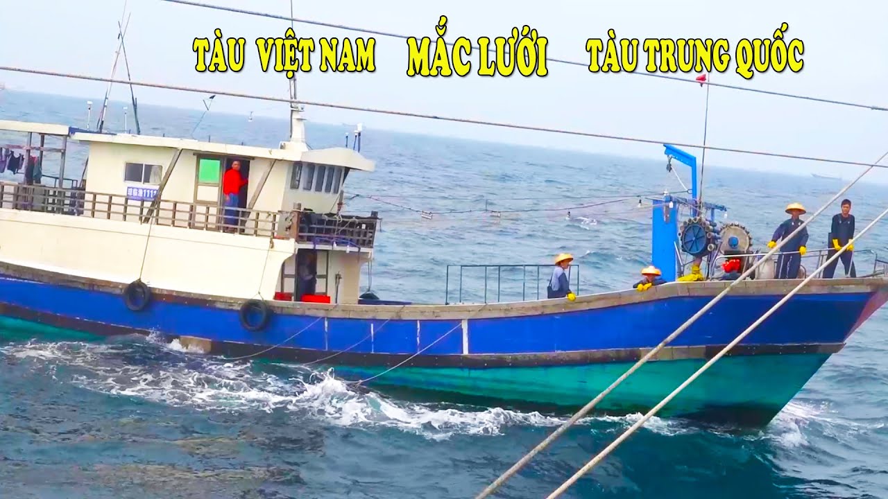 Tàu Cá Việt Nam Mắc Lưới Tàu Cá Trung Quốc - Cắt Lưới Luôn # 161