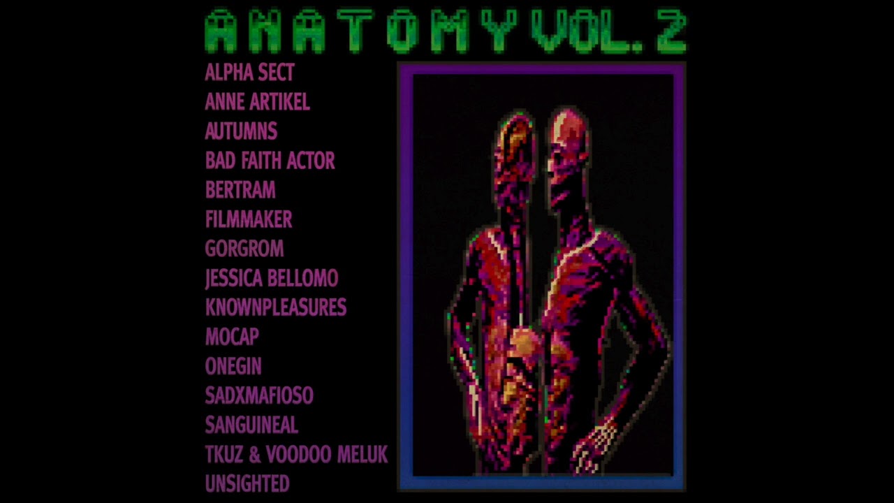 VARIOUS ARTISTS - ANATOMY VOL. 2