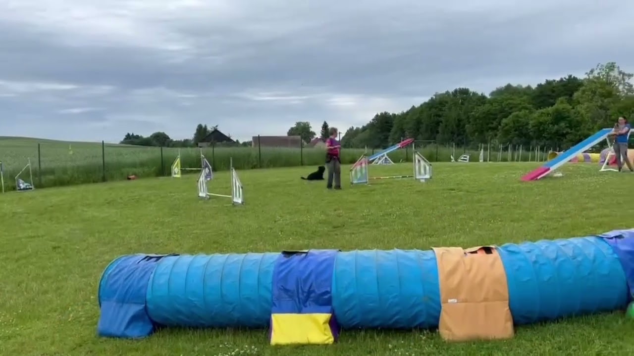 Muszka training in a new place