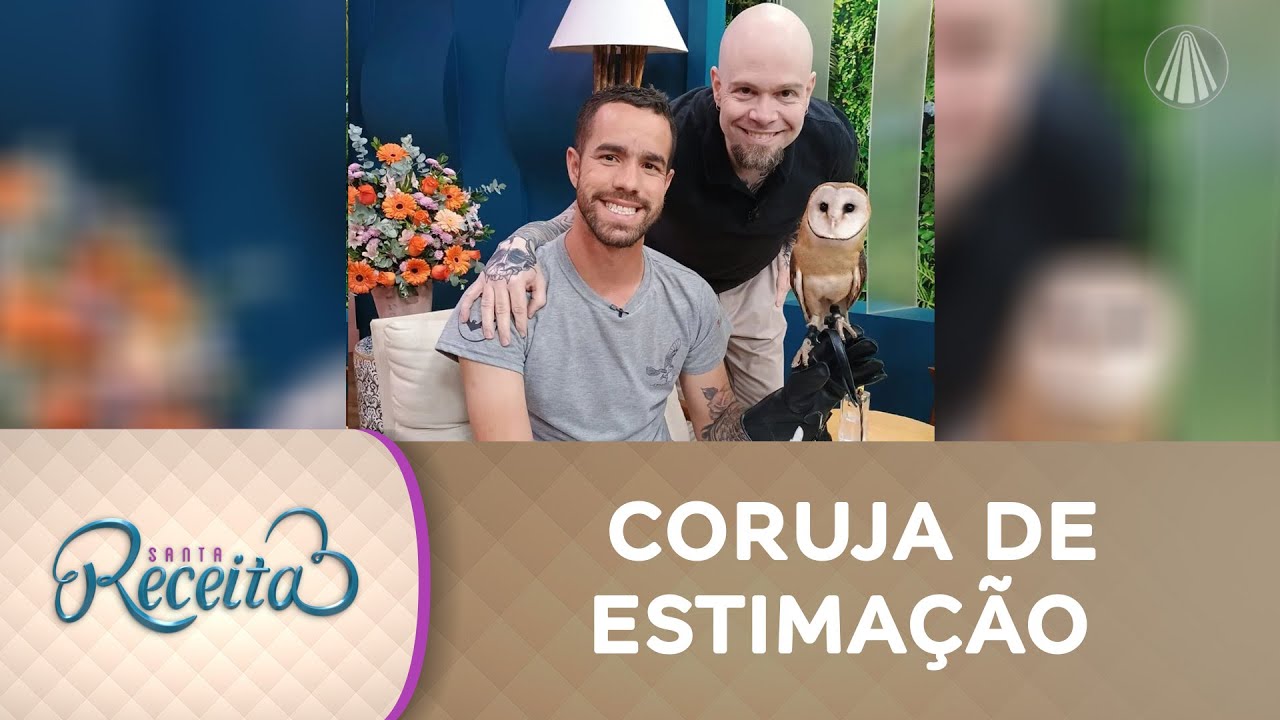 Já pensou em ter um pet exótico? Conheça as CORUJAS domésticas
