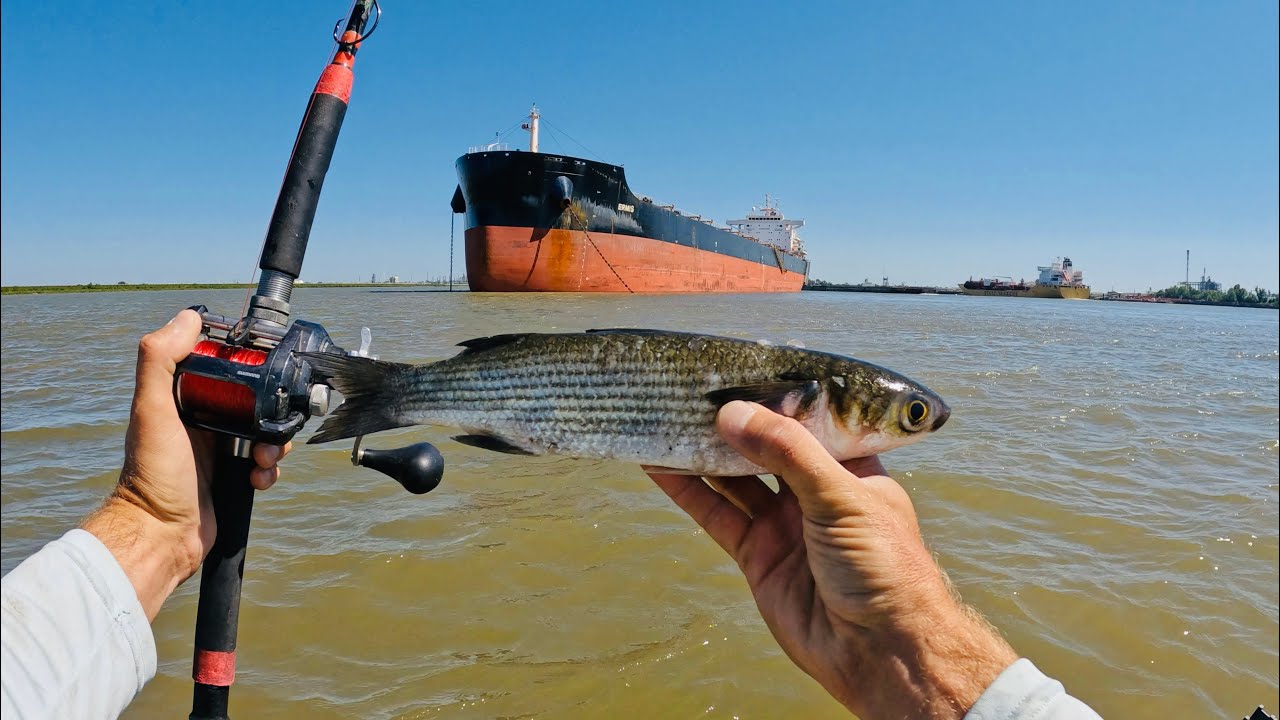 Catfishing for Money - Mississippi River Louisiana