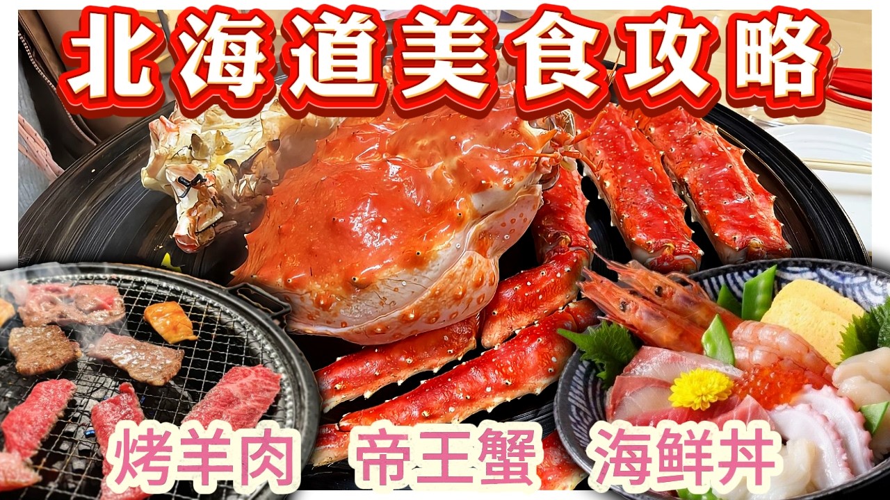 北海道美食！ 札幌百年拉面，小樽海鲜丼帝王蟹，旭川串鸟！TOP 13 Best Food in Hokkaido! #北海道 #hokkaido
