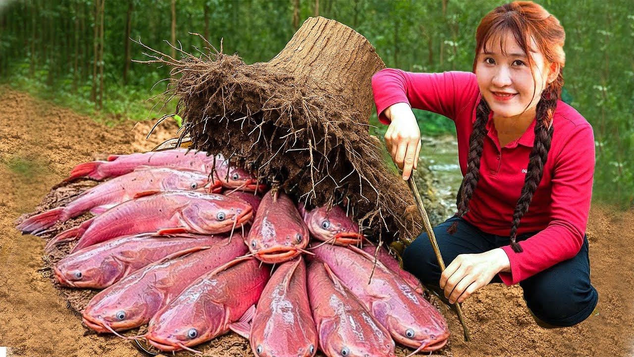 TIMELAPSE - Catching 1000 kg Wild Fish In the Forest,Traditional Fish Ball Baking Recipe