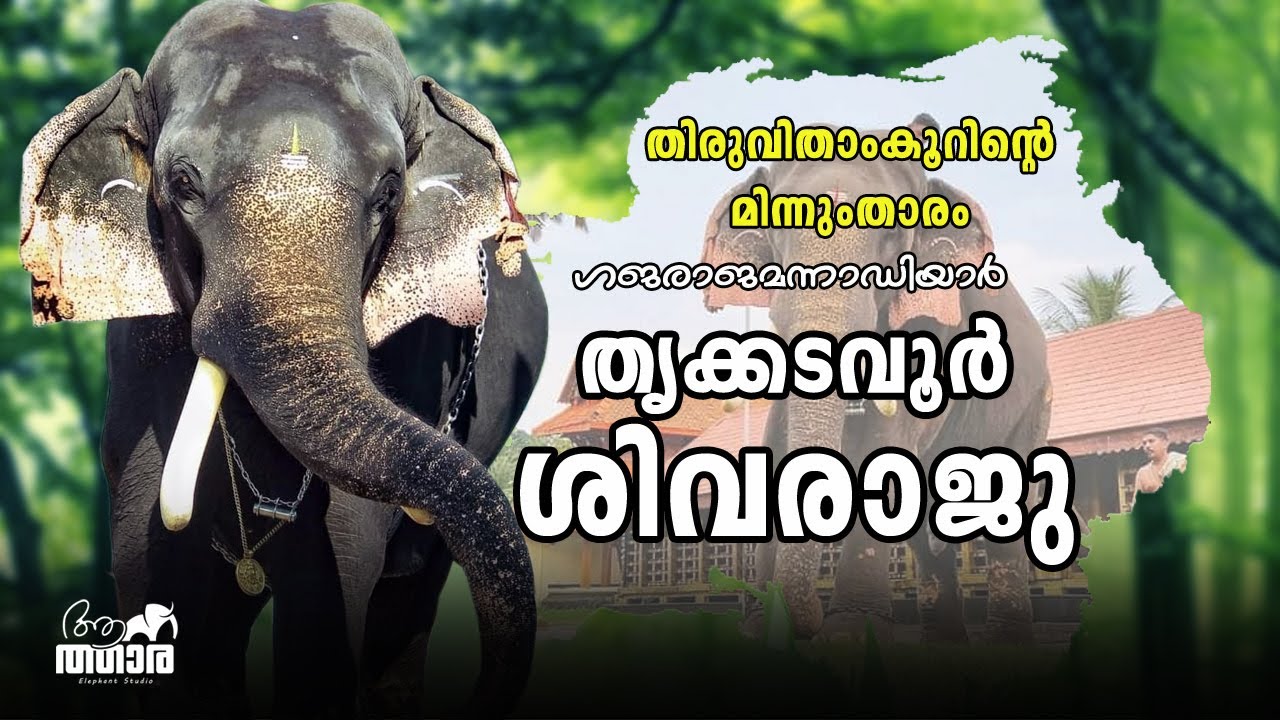 Thrikkadavoor Sivaraju | തിരുവിതാംകൂറിന്റെ ആനകളിൽ ഏറ്റവും തലയെടുപ്പുള്ള ഗജവീരൻ | Kerala elephant