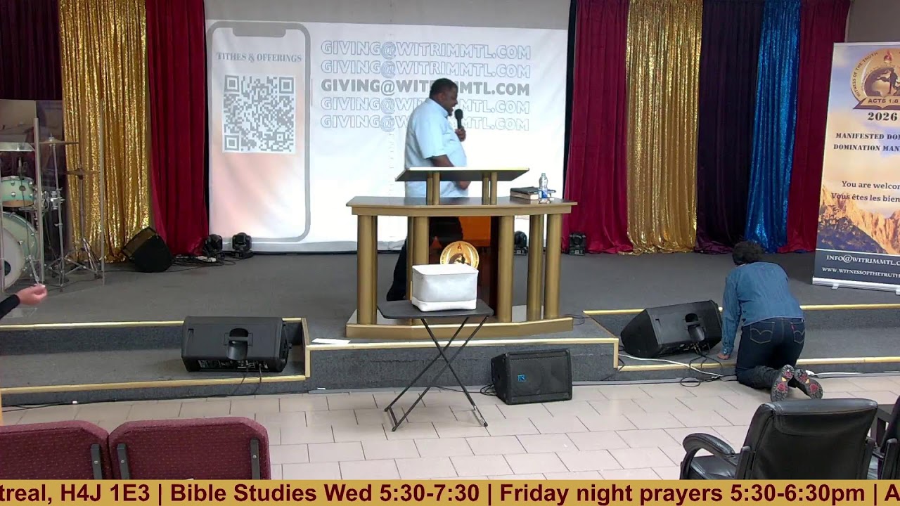 Bible Studies