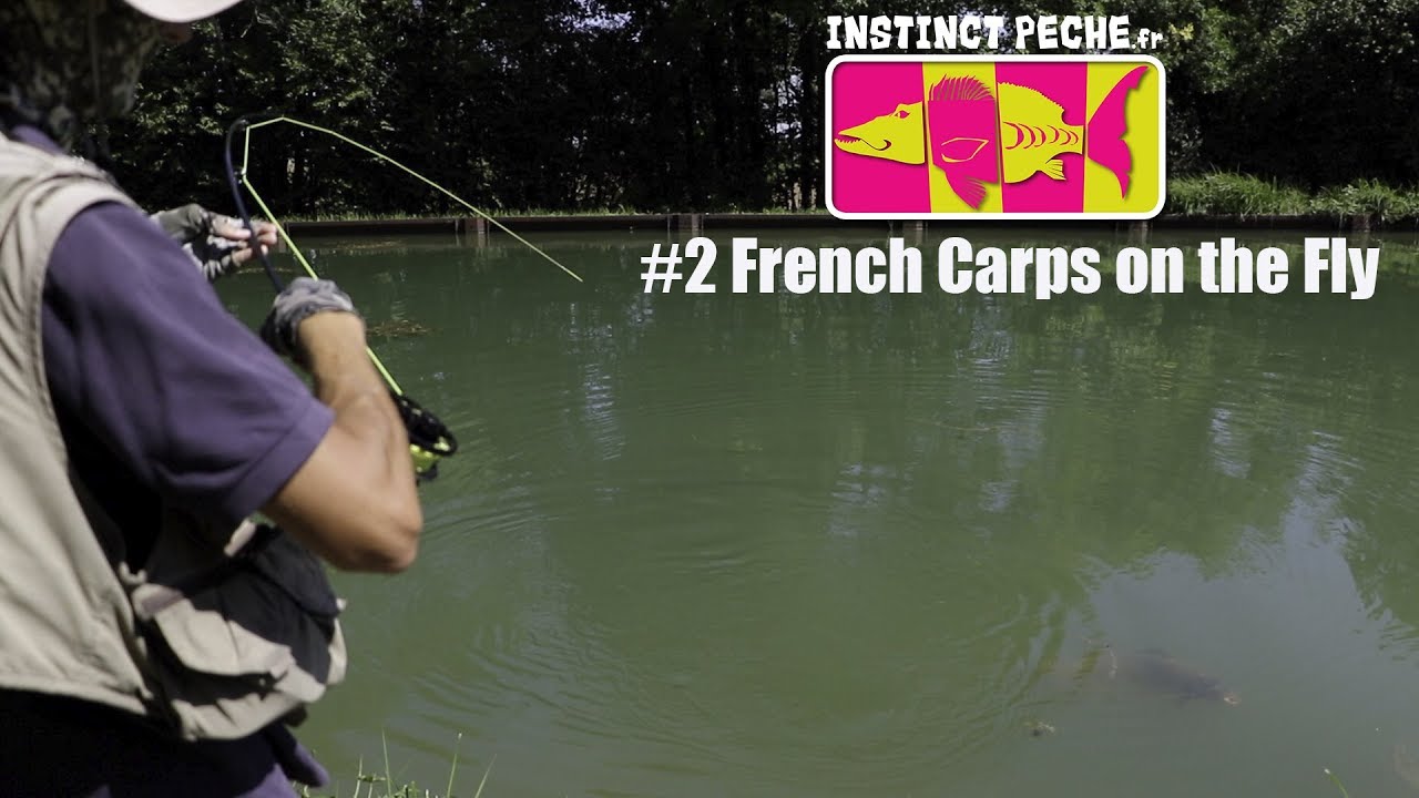 French Carps on the Fly