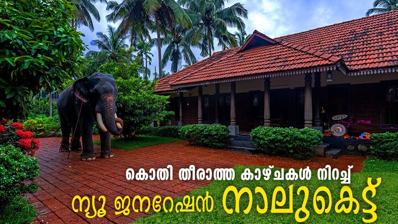 ഇത്രയും ഭാഗ്യം ചെയ്ത വീട്ടുകാരുള്ള ഒരു വീട്😍എന്തൊരു ചന്തം Kerala Nalukettu house Come on everybody
