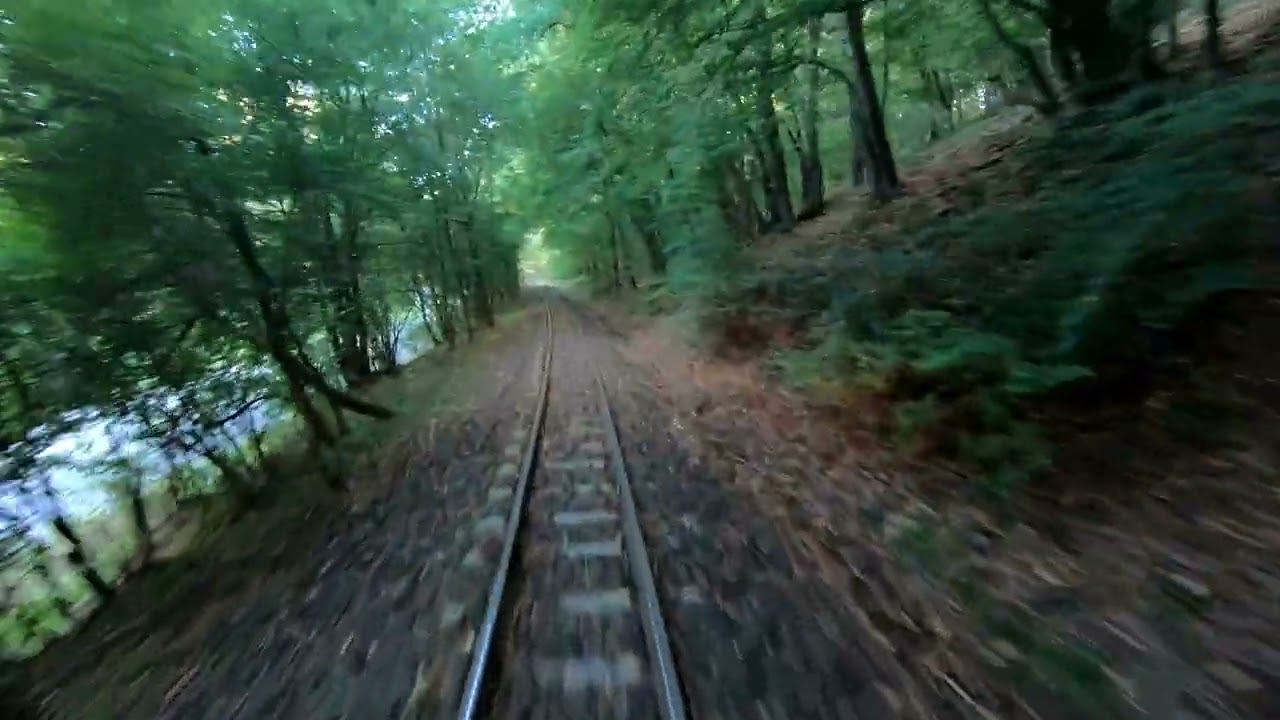 The Line Szob - Nagyirtáspuszta (Nr. 318.) 2023 4kup