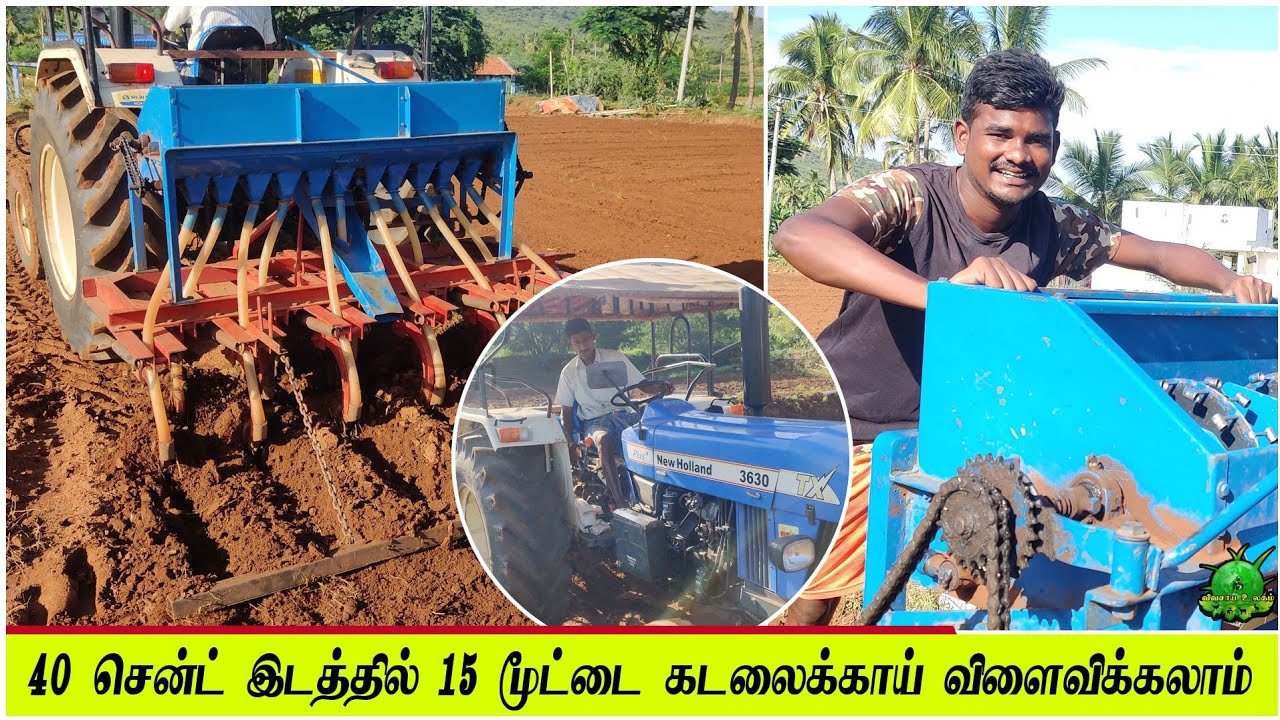 40 சென்ட் இடத்தில் 15 மூட்டை கடலைக்காய் விளைவிக்கலாம் ??