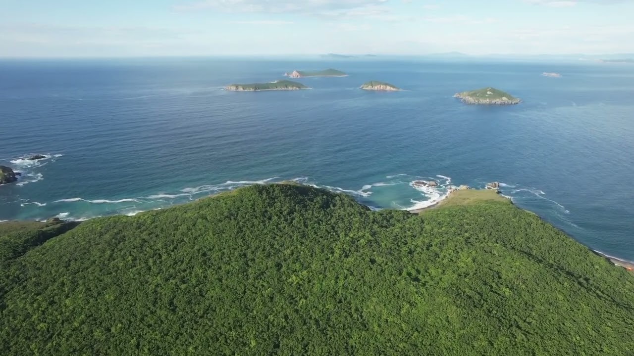 Ricord island Primorsky Krai