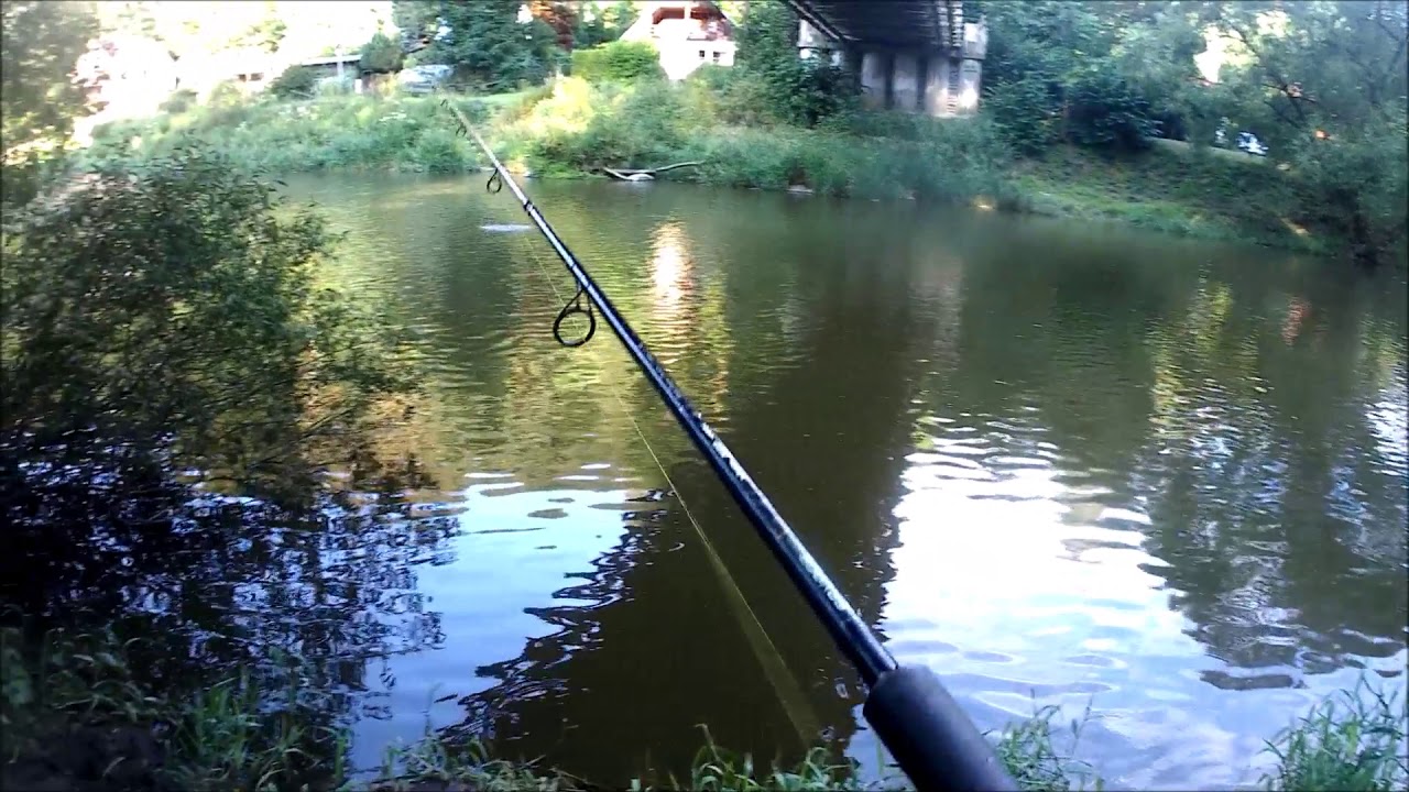 Test - Savage Gear Cannibal Shad 12,5 cm