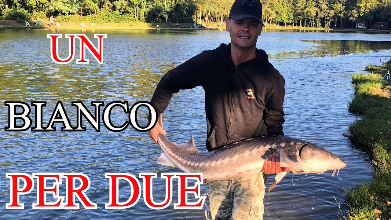 PESCA ALLO STORIONE : UN BIANCO PER DUE