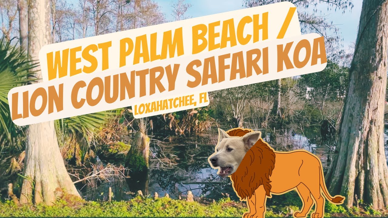 West Palm Beach / Lion Country Safari KOA Review: A unique camping experience