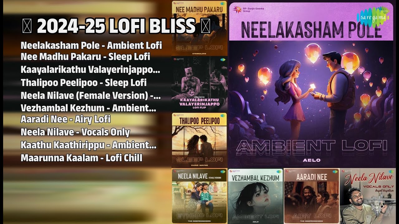 2024-25 Lofi സംഗീത ലഹരി ❤️ | Najim Arshad Songs | Neelakasham Pole  Ambient Lofi