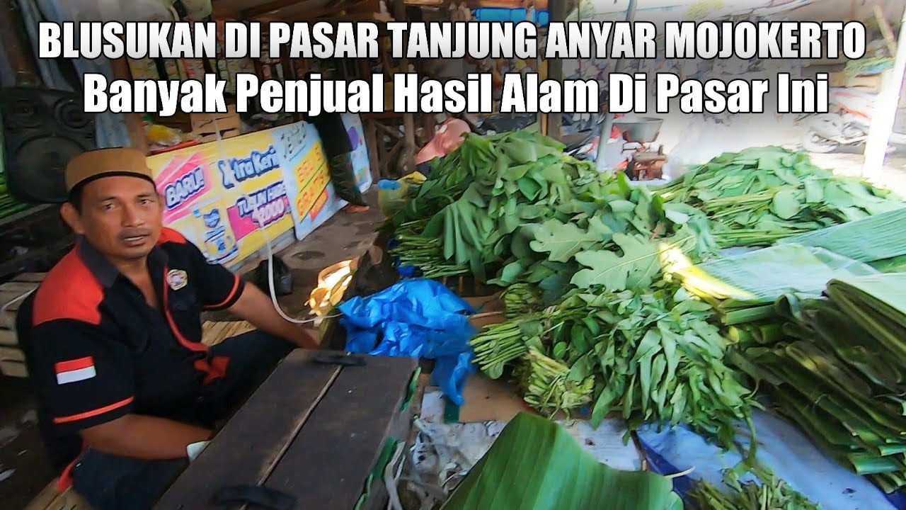Pengalaman Jelajah Pasar Tanjung Anyar Kota Mojokerto, Suasana Terbaru Tahun 2026
