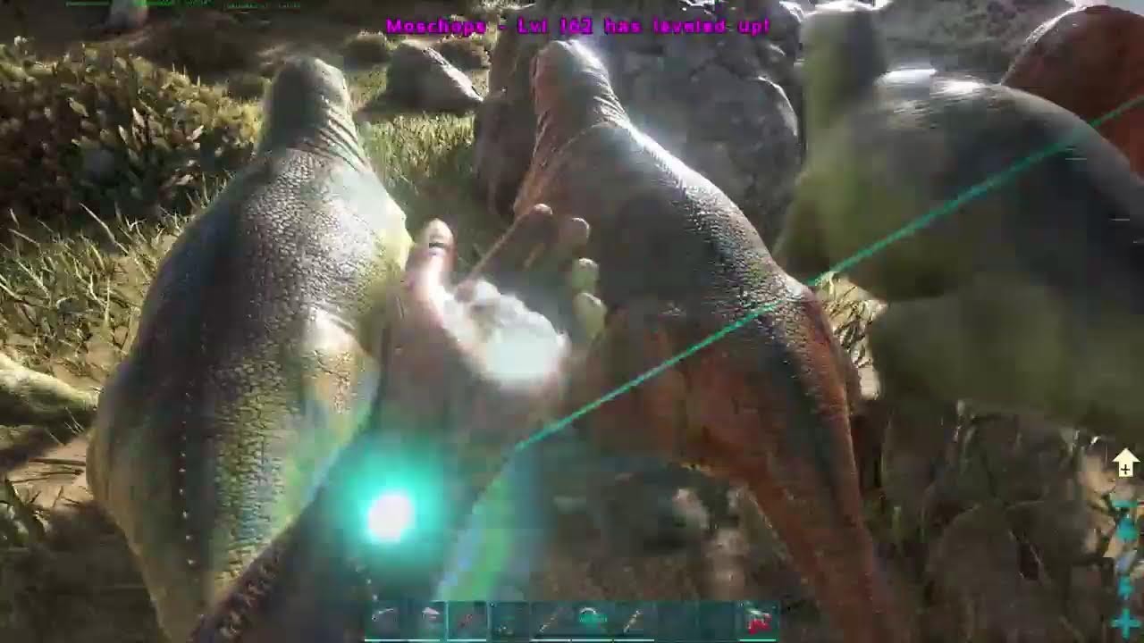 Ark With Friends