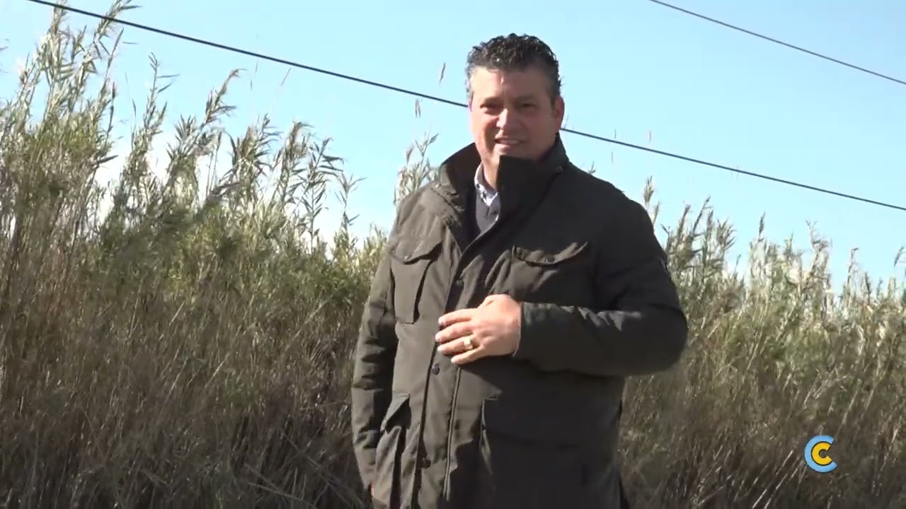 Un fallecido tras ser arrollado por el Alvia a la altura de Villarrasa