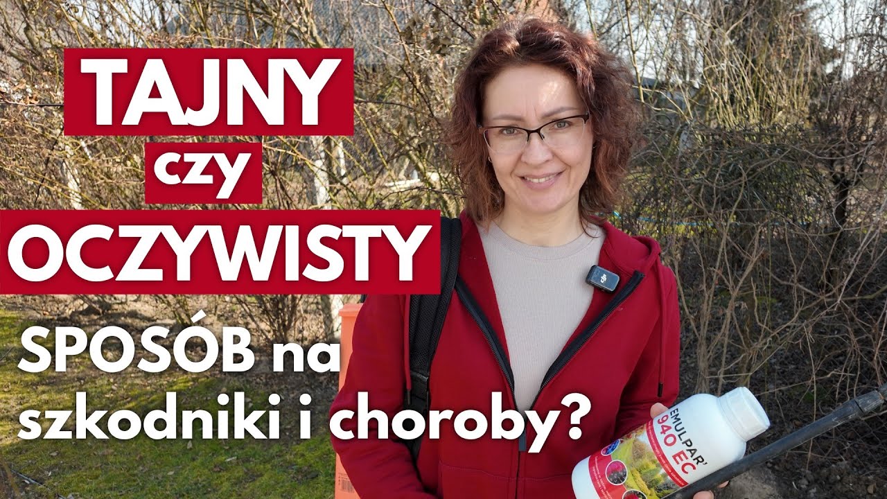 Jak skutecznie chronić rośliny przed szkodnikami i chorobami?
