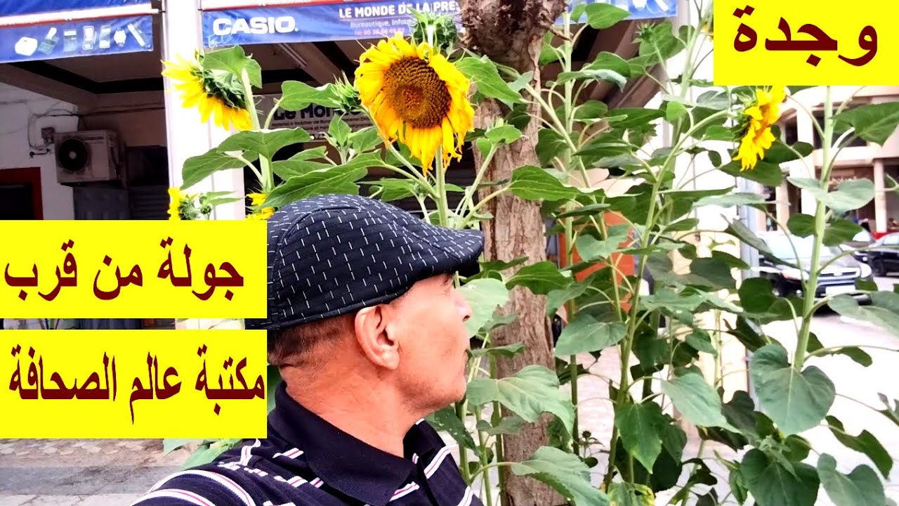 شوارع وجدة جولة في شوارع وجدة قرب مكتبة صحافة العالم  زنقة انوال وشارع محمد درفوفي وساحة الحمام