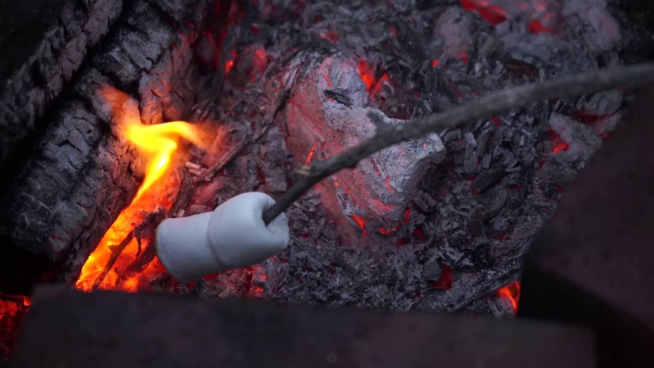 Campfire marshmallows with melted choclate